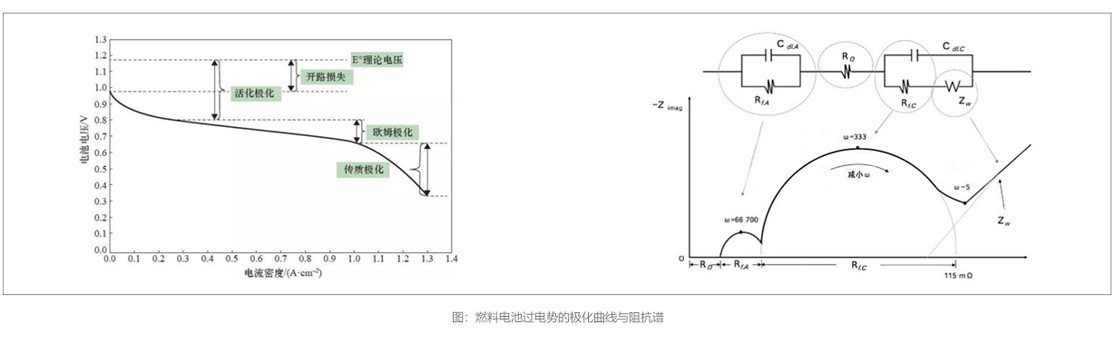 官网图3~.jpg
