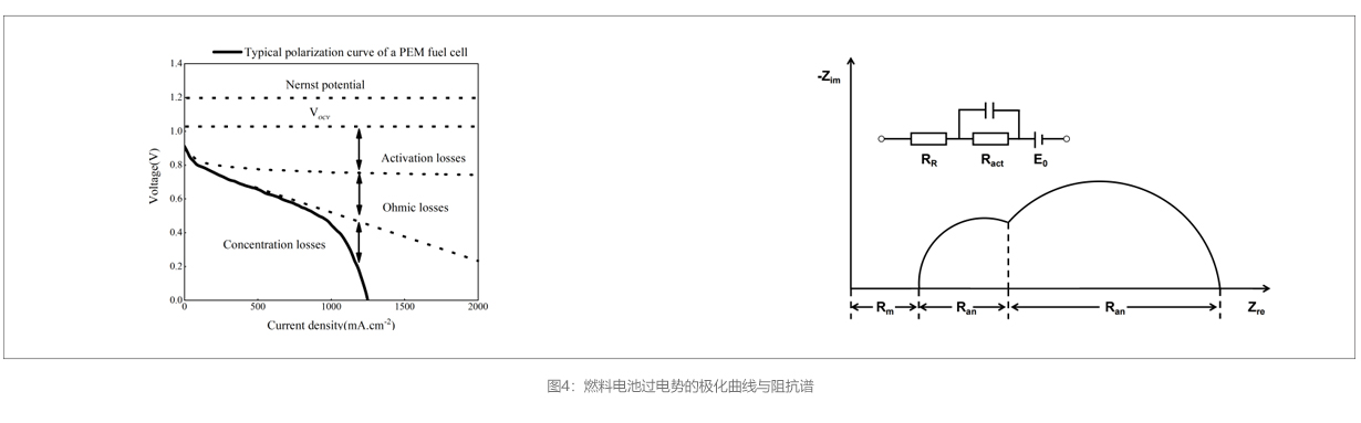 官網詳情圖範本圖四.jpg